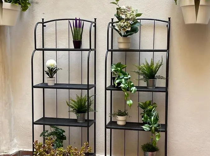 Napule E ... Неаполь